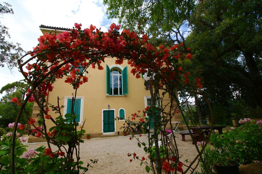Teresa Porto Azzurro