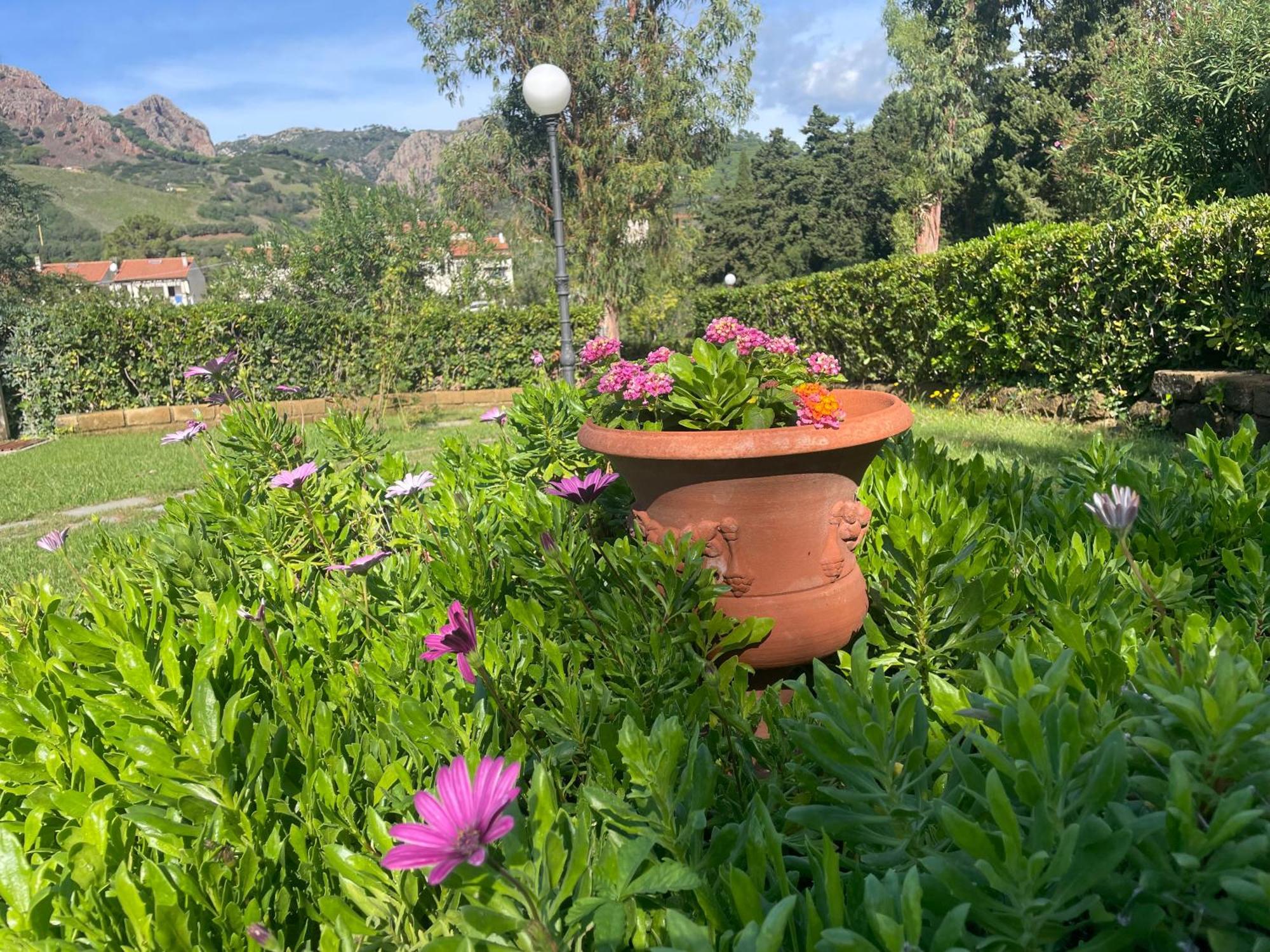 Teresa Porto Azzurro